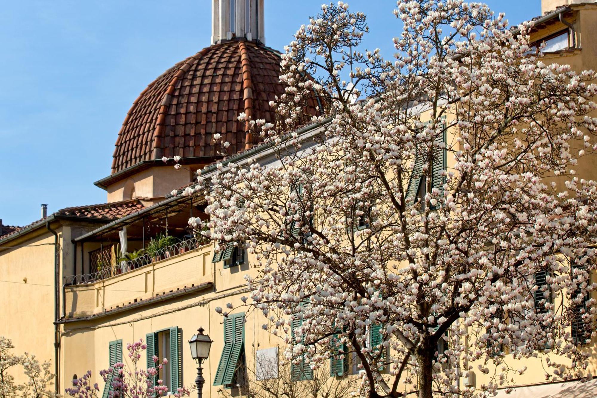 Casa San Girolamo Historic Flat With Cosy Terrace In Lucca'S City Centre Exterior photo